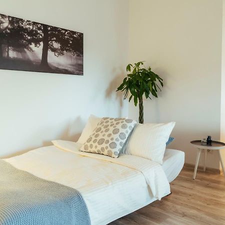 Bright And Spacious Central Apartment- Piata Amzei Бухарест Екстер'єр фото